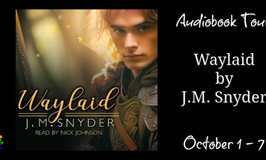 Audiobook Tour & Review: Waylaid by J.M. Snyder, Performed by Nick Johnson