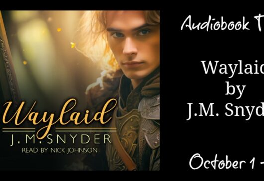 Audiobook Tour & Review: Waylaid by J.M. Snyder, Performed by Nick Johnson